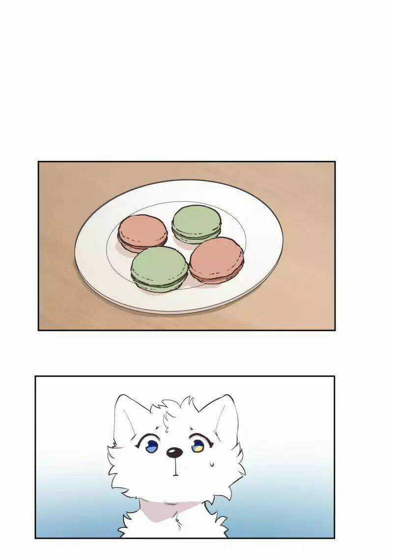 Cội Nguồn Ánh Sáng Chapter 42 trang 8