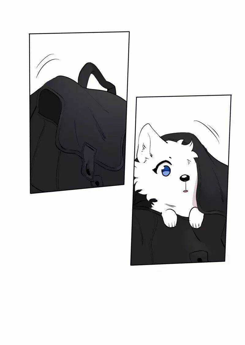 Cội Nguồn Ánh Sáng Chapter 43 trang 21