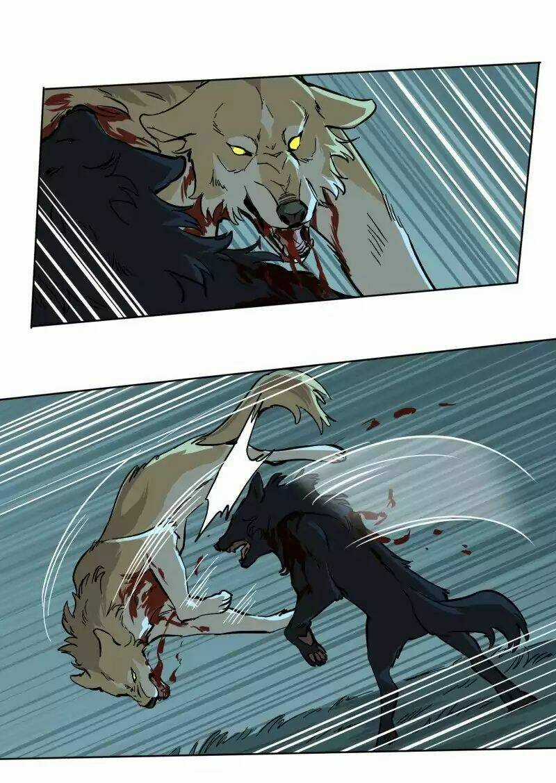 Cội Nguồn Ánh Sáng Chapter 51 trang 11