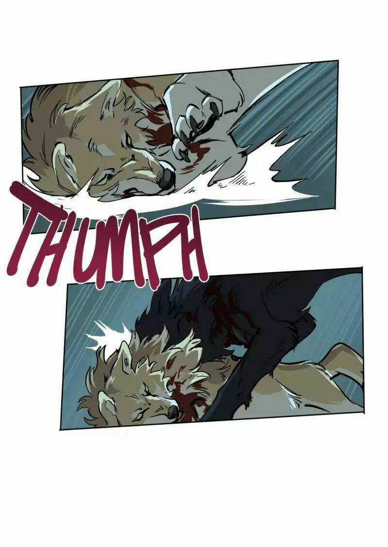 Cội Nguồn Ánh Sáng Chapter 51 trang 12