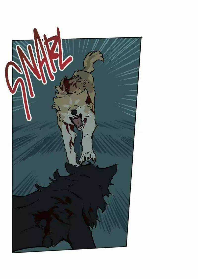 Cội Nguồn Ánh Sáng Chapter 51 trang 24