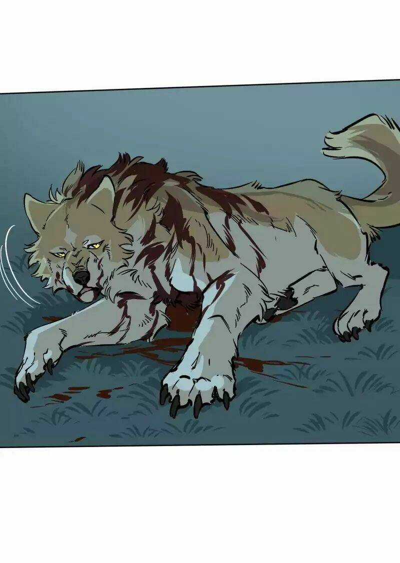 Cội Nguồn Ánh Sáng Chapter 53 trang 13