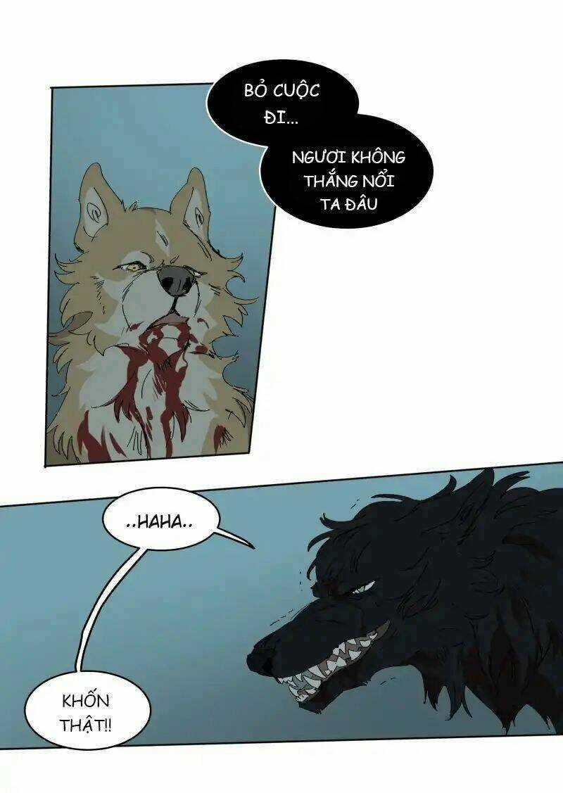 Cội Nguồn Ánh Sáng Chapter 55 trang 11