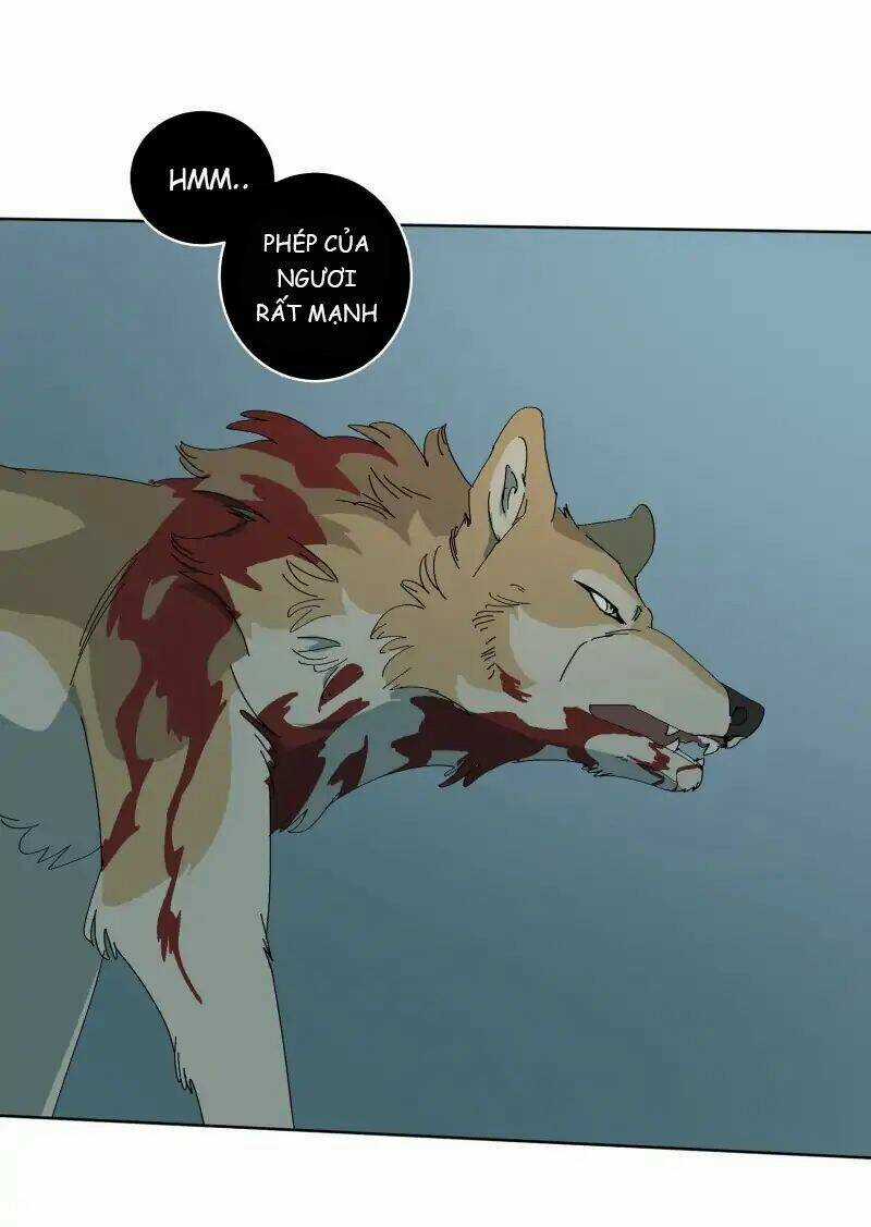 Cội Nguồn Ánh Sáng Chapter 55 trang 16