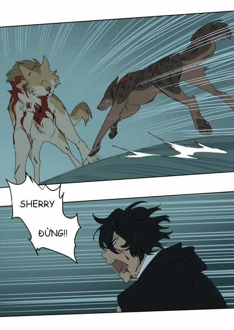 Cội Nguồn Ánh Sáng Chapter 55 trang 21