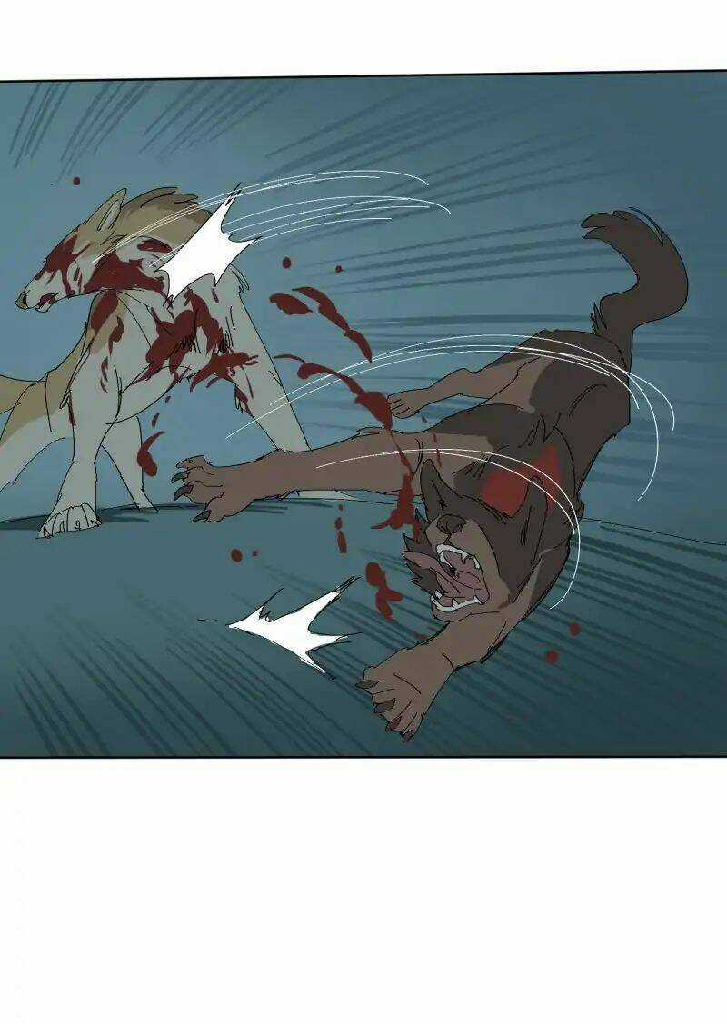 Cội Nguồn Ánh Sáng Chapter 56 trang 13