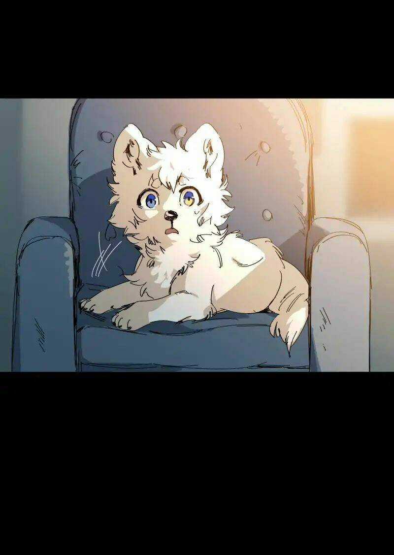 Cội Nguồn Ánh Sáng Chapter 63 trang 13