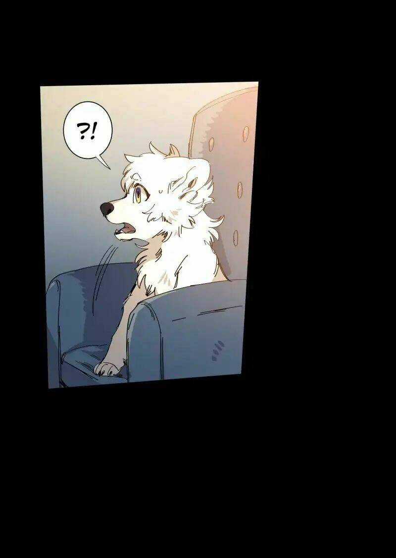 Cội Nguồn Ánh Sáng Chapter 63 trang 14