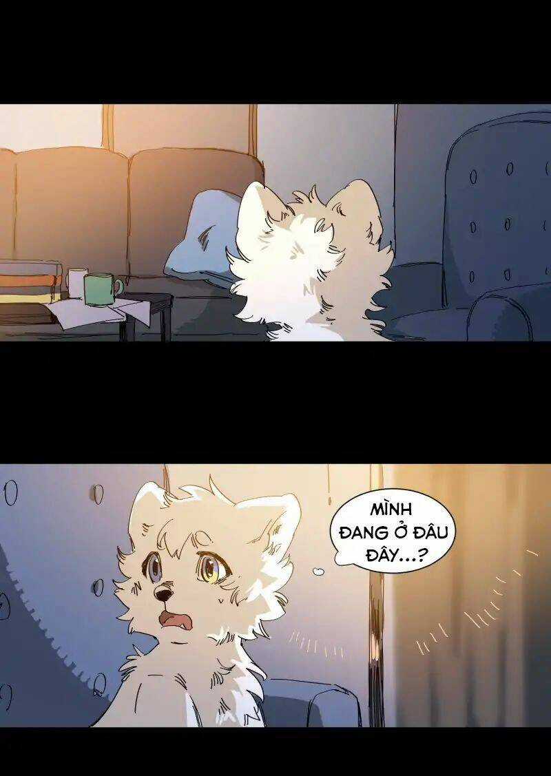 Cội Nguồn Ánh Sáng Chapter 63 trang 15