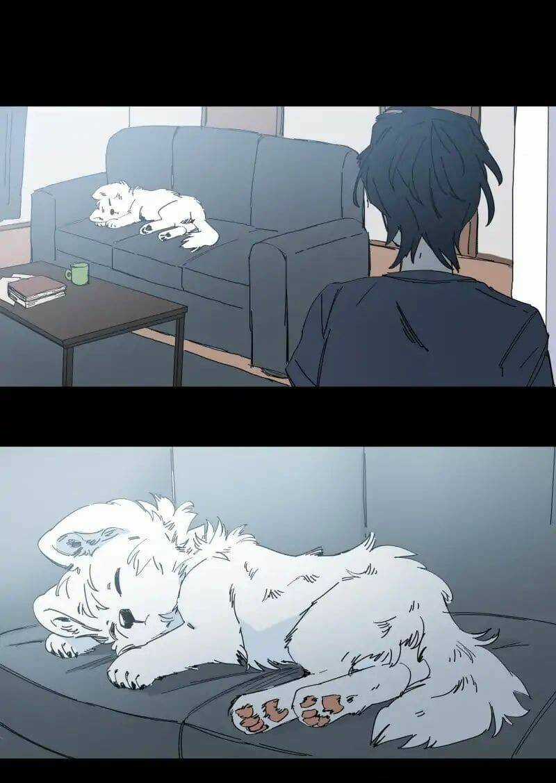 Cội Nguồn Ánh Sáng Chapter 65 trang 17