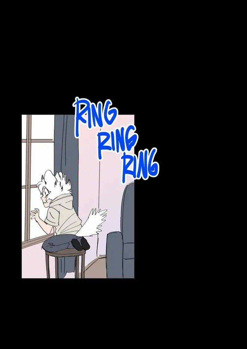 Cội Nguồn Ánh Sáng Chapter 66 trang 14