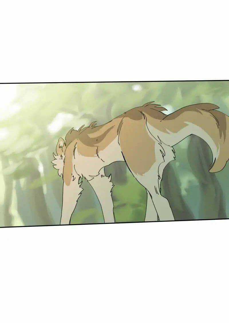 Cội Nguồn Ánh Sáng Chapter 68 trang 14