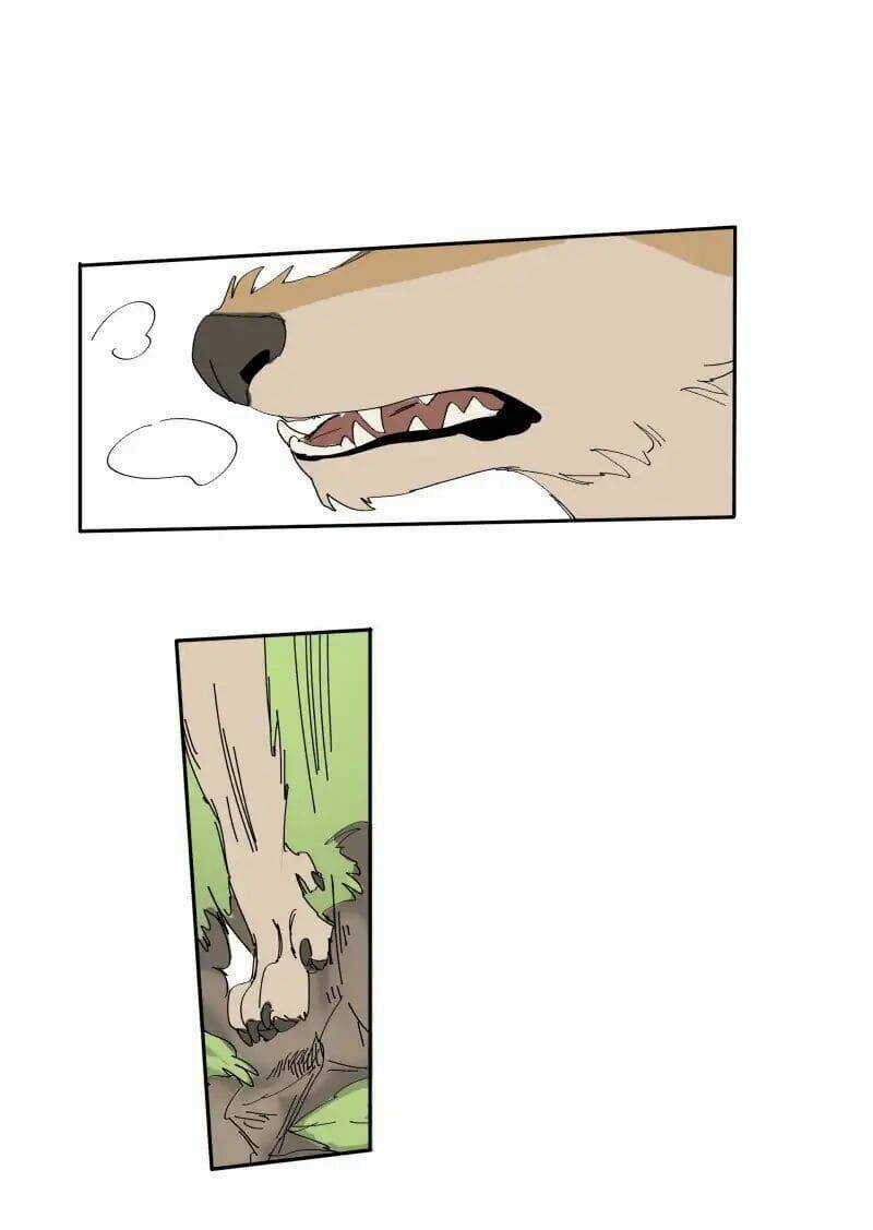 Cội Nguồn Ánh Sáng Chapter 68 trang 15