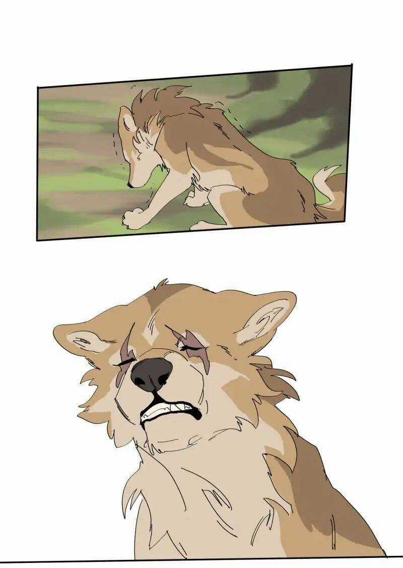 Cội Nguồn Ánh Sáng Chapter 68 trang 17