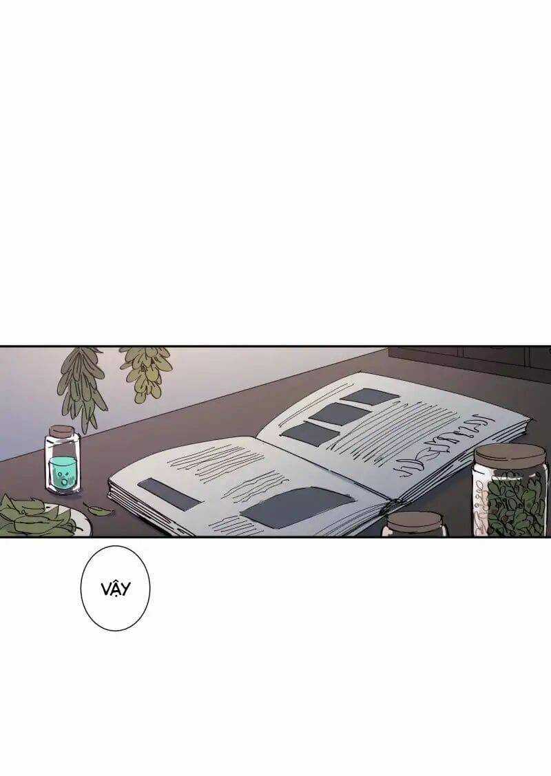 Cội Nguồn Ánh Sáng Chapter 69 trang 12