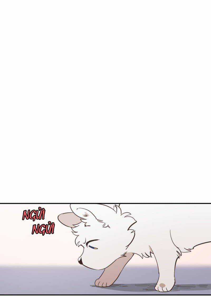 Cội Nguồn Ánh Sáng Chapter 73 trang 41