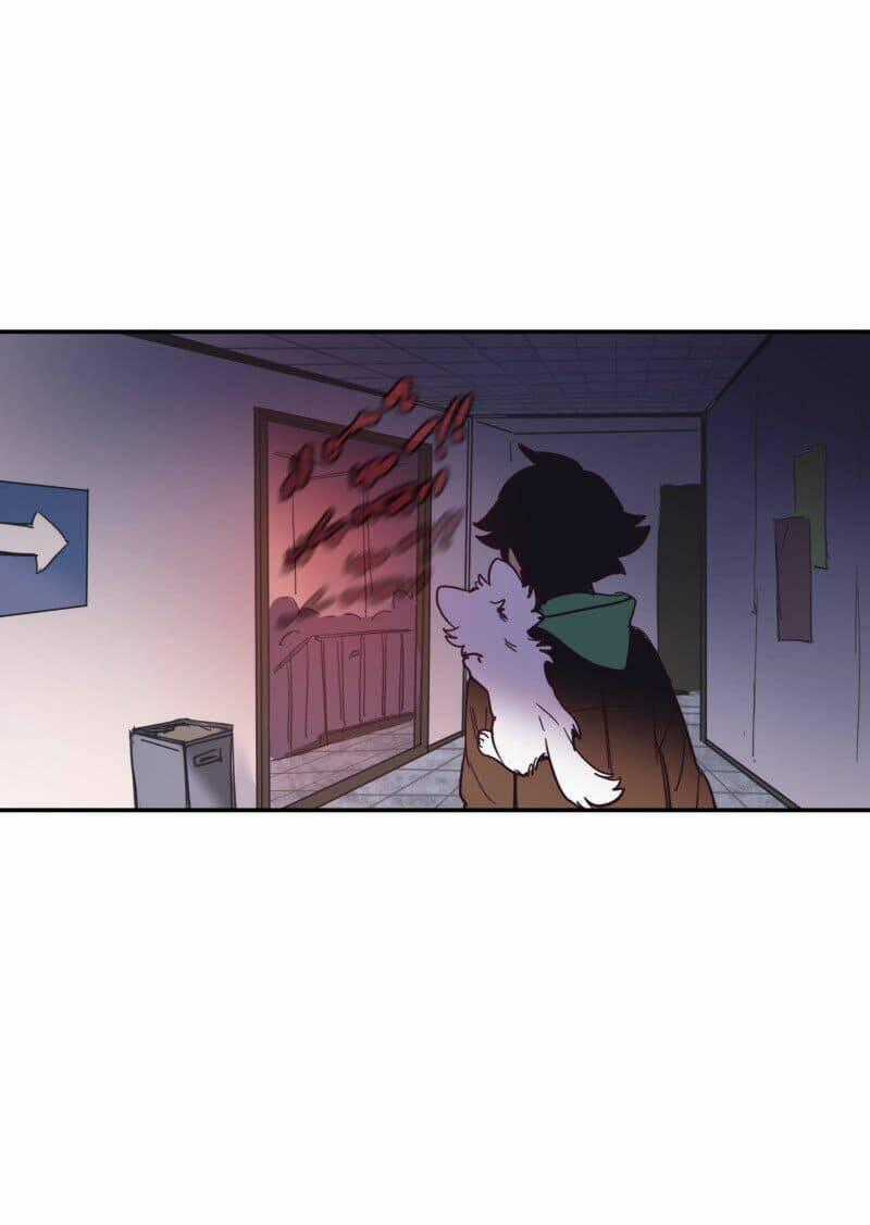 Cội Nguồn Ánh Sáng Chapter 73 trang 53