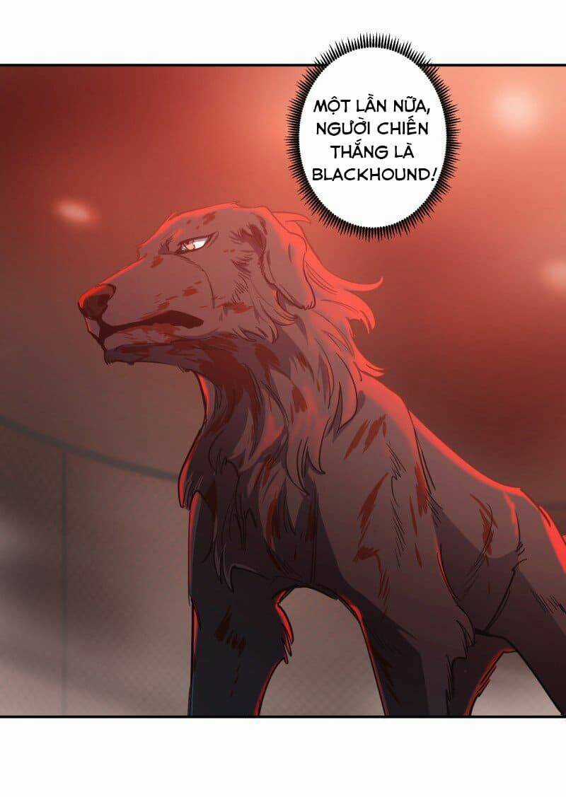 Cội Nguồn Ánh Sáng Chapter 74 trang 10