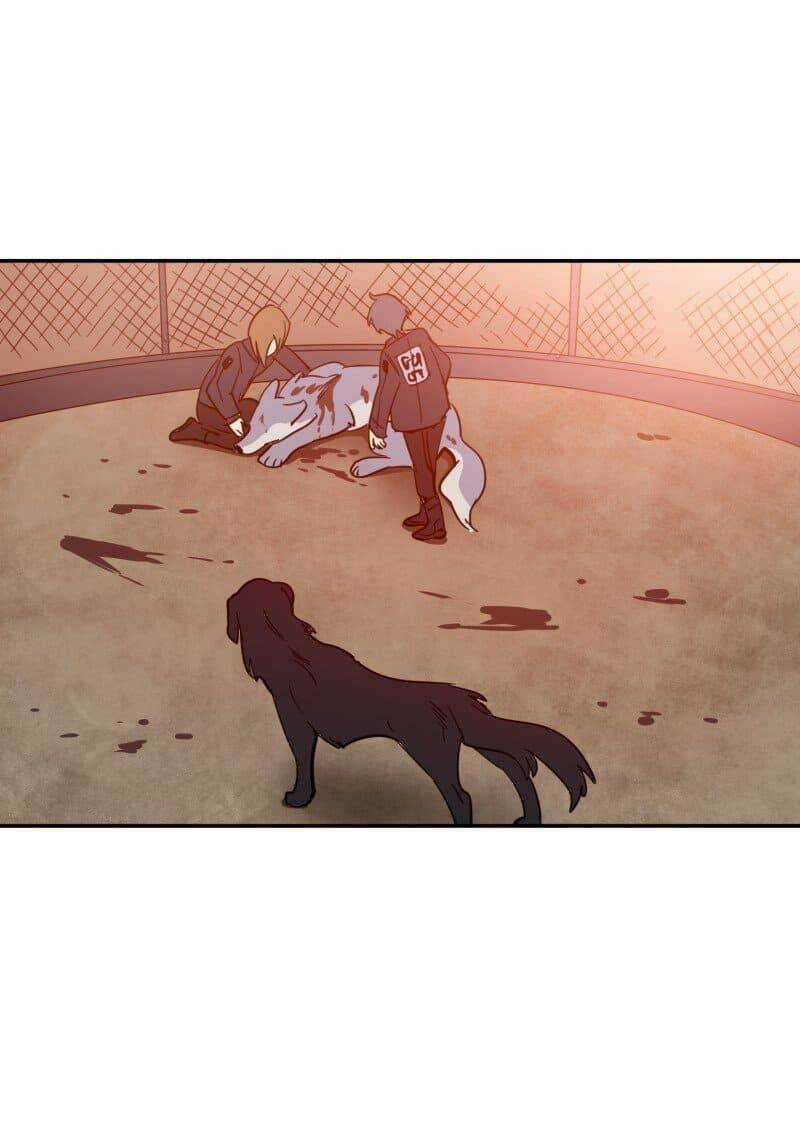 Cội Nguồn Ánh Sáng Chapter 74 trang 12