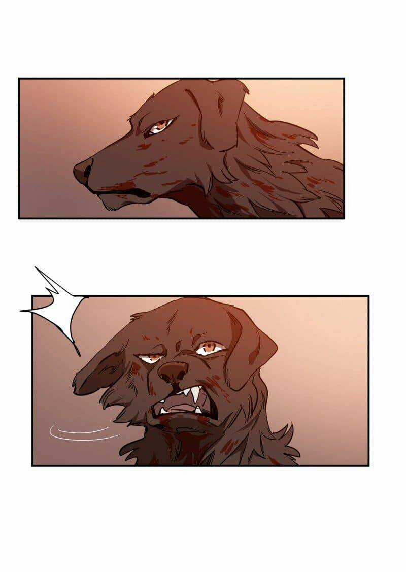 Cội Nguồn Ánh Sáng Chapter 74 trang 13