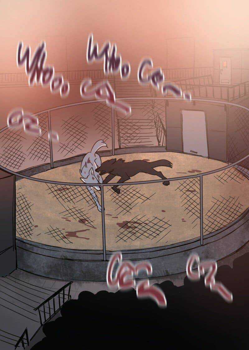 Cội Nguồn Ánh Sáng Chapter 74 trang 3