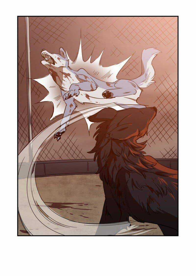 Cội Nguồn Ánh Sáng Chapter 74 trang 7