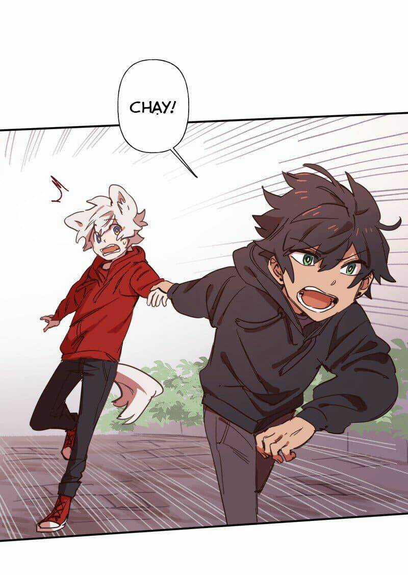 Cội Nguồn Ánh Sáng Chapter 77 trang 22