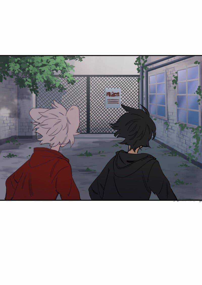 Cội Nguồn Ánh Sáng Chapter 77 trang 27