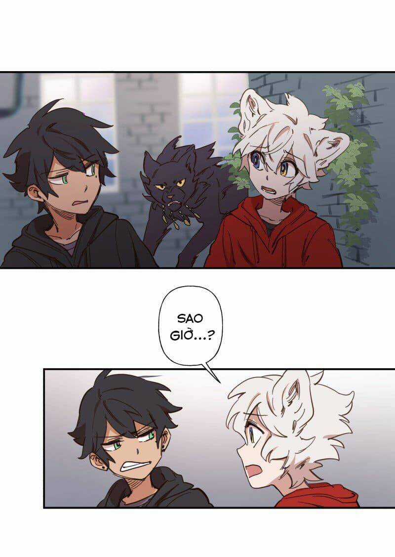 Cội Nguồn Ánh Sáng Chapter 77 trang 28