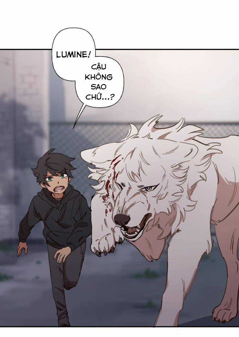 Cội Nguồn Ánh Sáng Chapter 77 trang 35