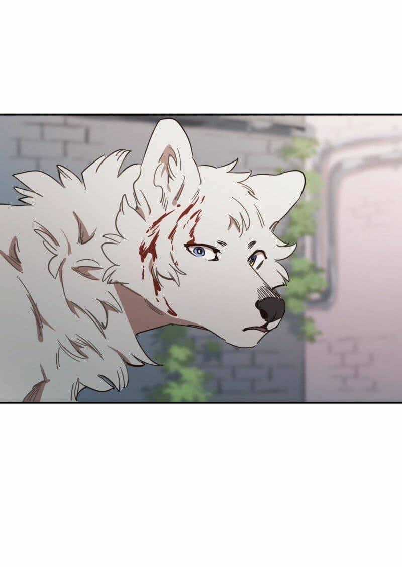 Cội Nguồn Ánh Sáng Chapter 78 trang 1