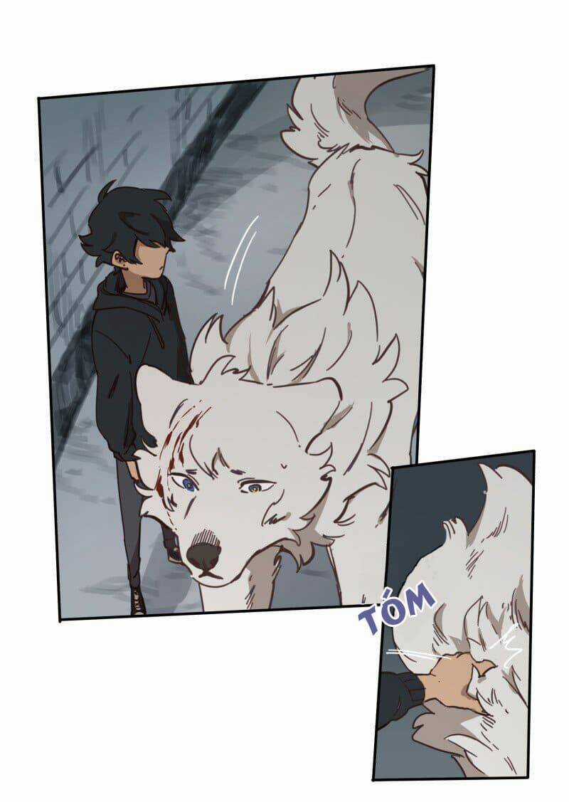 Cội Nguồn Ánh Sáng Chapter 78 trang 12