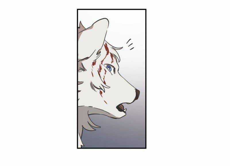 Cội Nguồn Ánh Sáng Chapter 78 trang 13