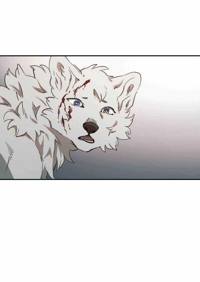 Cội Nguồn Ánh Sáng Chapter 78 trang 15