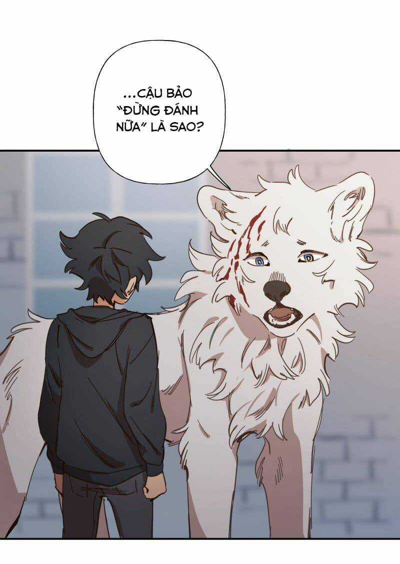 Cội Nguồn Ánh Sáng Chapter 78 trang 2