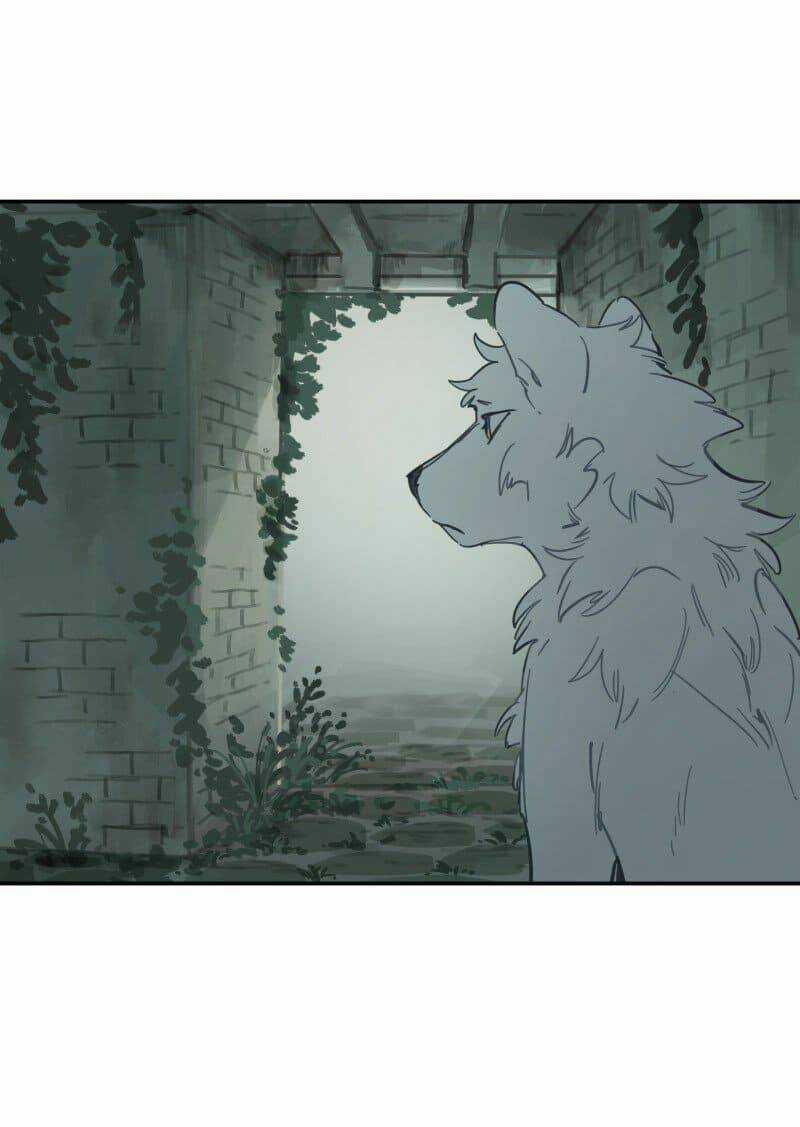 Cội Nguồn Ánh Sáng Chapter 78 trang 28