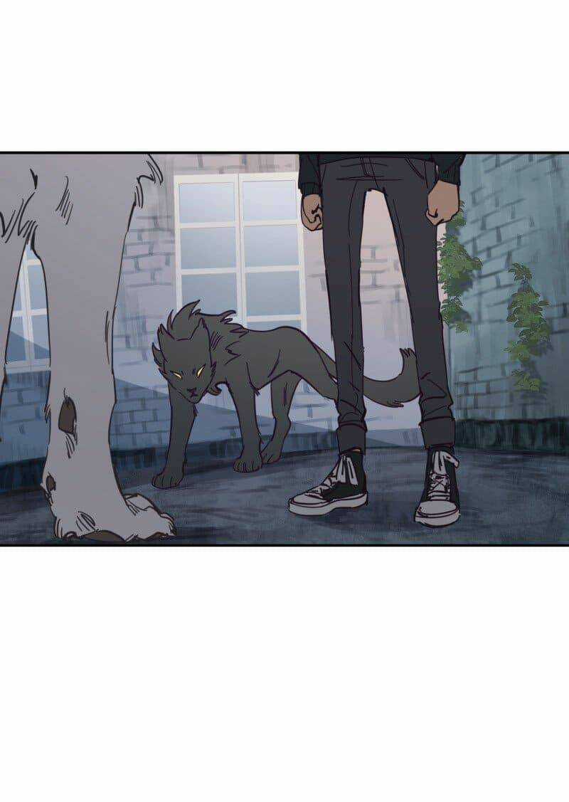 Cội Nguồn Ánh Sáng Chapter 78 trang 4