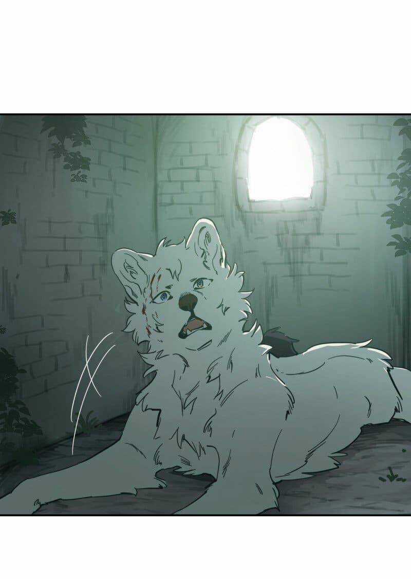 Cội Nguồn Ánh Sáng Chapter 79 trang 19