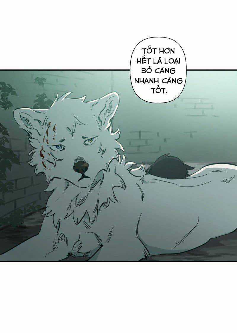 Cội Nguồn Ánh Sáng Chapter 79 trang 29