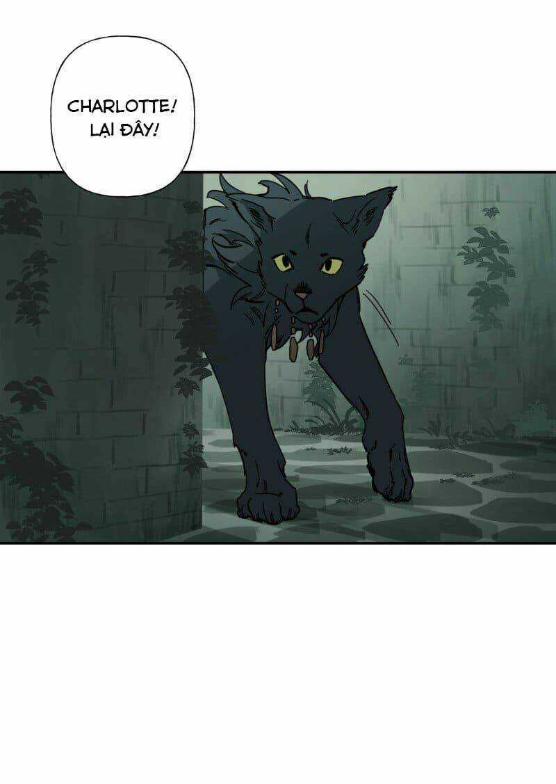 Cội Nguồn Ánh Sáng Chapter 79 trang 37