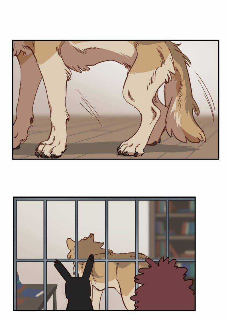 Cội Nguồn Ánh Sáng Chapter 80 trang 18