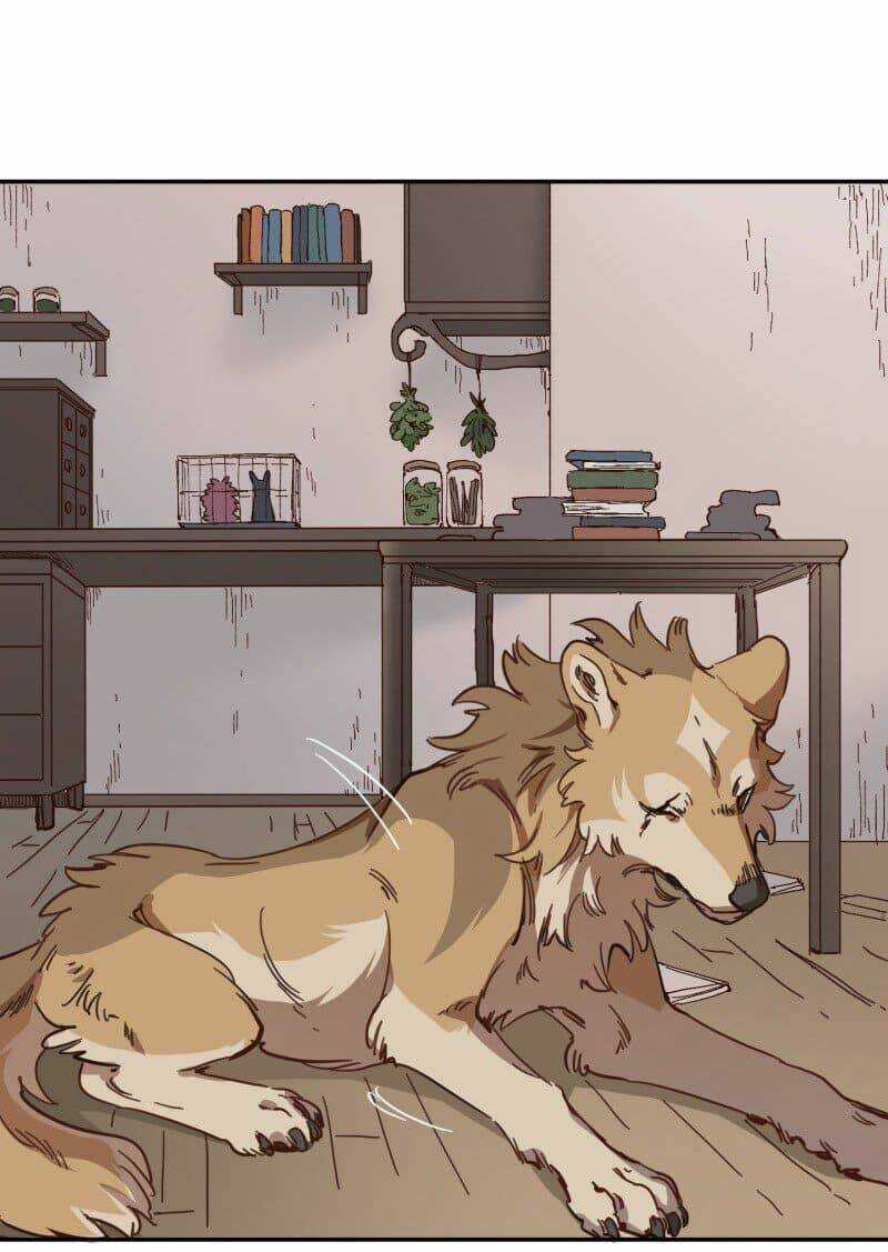 Cội Nguồn Ánh Sáng Chapter 80 trang 19