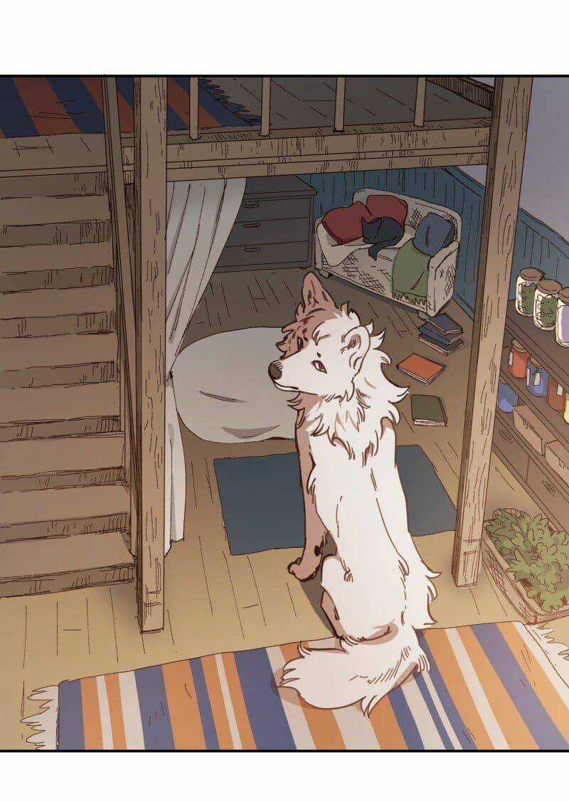 Cội Nguồn Ánh Sáng Chapter 80 trang 25