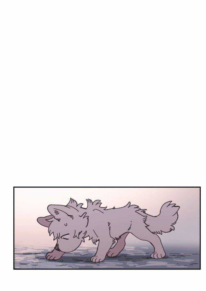 Cội Nguồn Ánh Sáng Chapter 81 trang 19