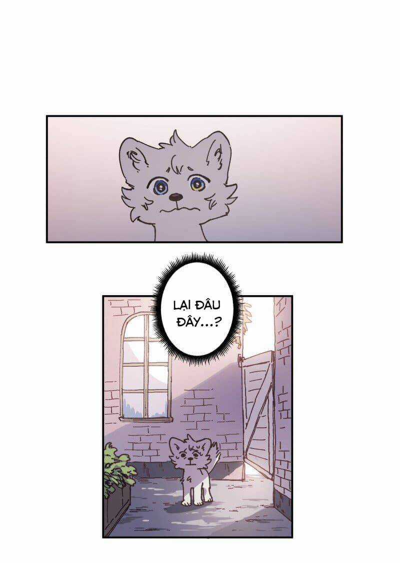 Cội Nguồn Ánh Sáng Chapter 81 trang 20