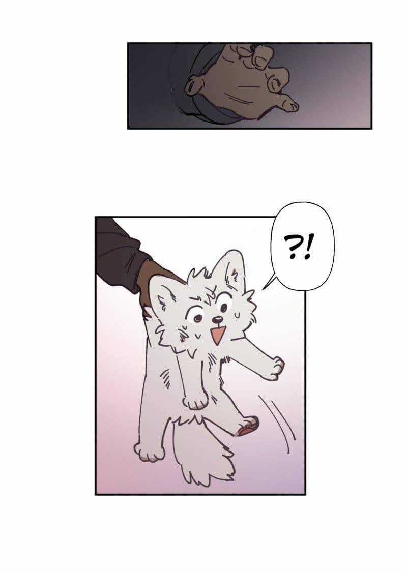 Cội Nguồn Ánh Sáng Chapter 81 trang 30