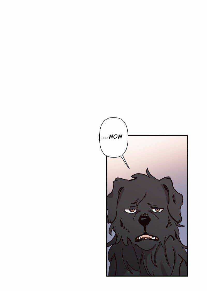 Cội Nguồn Ánh Sáng Chapter 82 trang 12