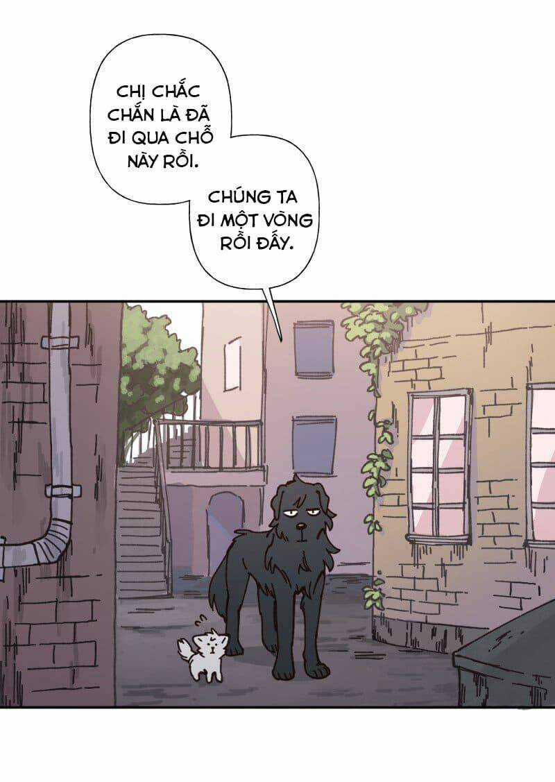 Cội Nguồn Ánh Sáng Chapter 82 trang 13