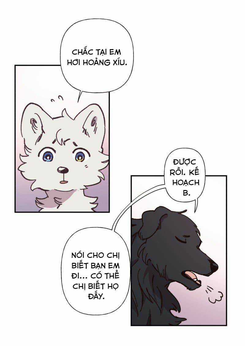 Cội Nguồn Ánh Sáng Chapter 82 trang 14