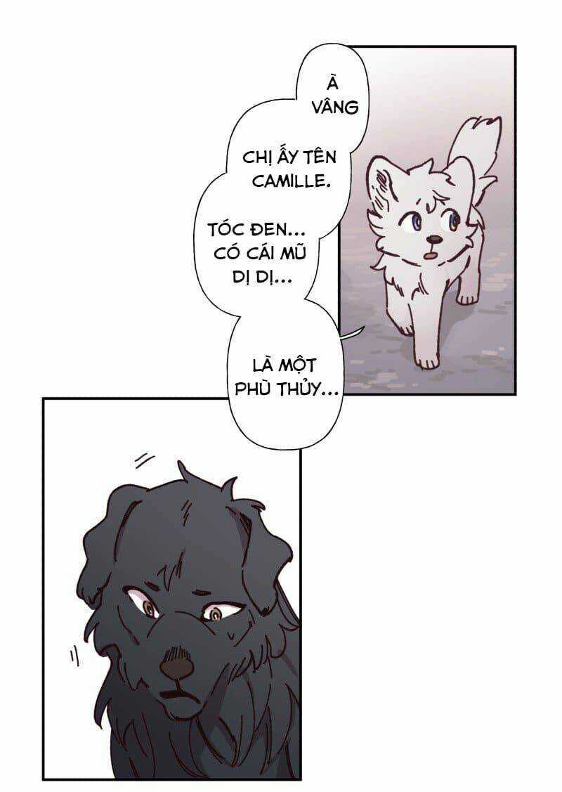 Cội Nguồn Ánh Sáng Chapter 82 trang 15